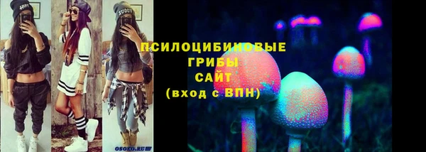 тгк Армянск