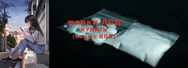 прущие грибы Слюдянка