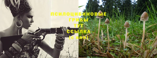 герыч Аркадак