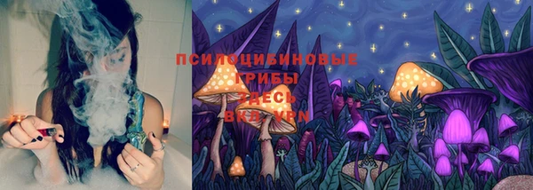 первитин Арсеньев